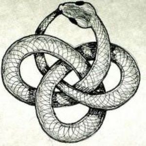 Meet your Posher, Kai